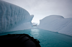 Antartica Day 4 _ Zodiac cruising