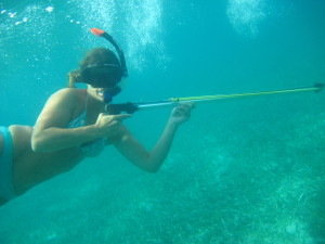 Belize_Caye Caluker_Spearfishing
