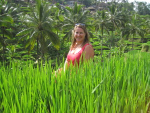Indonesia - Bali rice terraces 