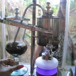 Brewing the luwak coffee