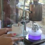 Pouring the final luwak coffee