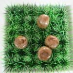 Mushroom croquettes