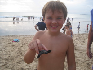 Liam loved holding this little turtle