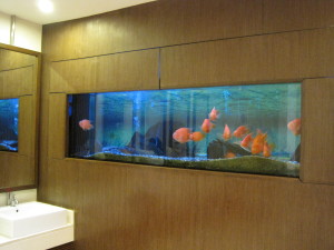 Serious fish tank in the ladies room at the Ko Samui airport