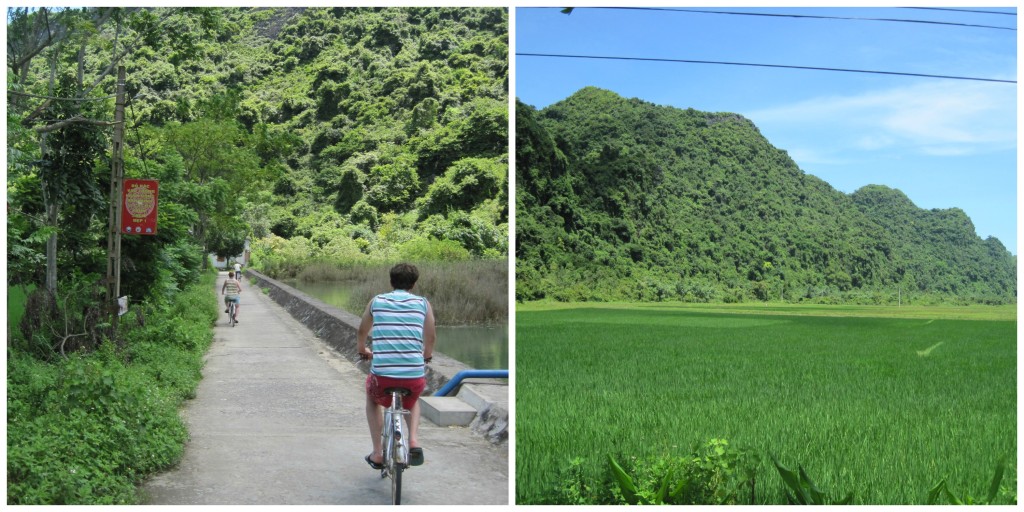 The bike roads and rice fields in the Cat Ba Island fishing village