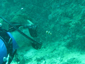 My dive buddy Simon with the clown fish.  I wasn't sure who was checking who out!
