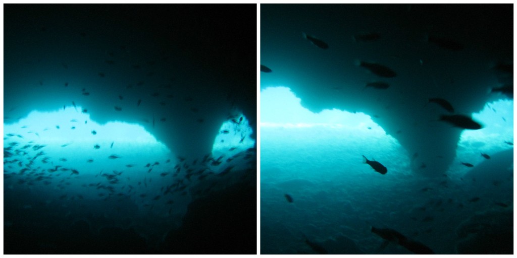 Views from long underwater cavern as we swam underneath Gato Island