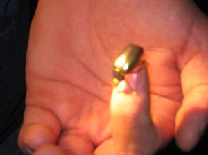 Gold metallic beetle