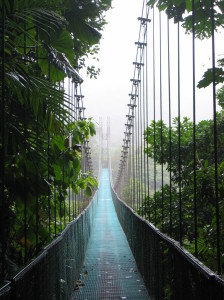 Loved all the clouds coming in over the bridge in the cloud forest