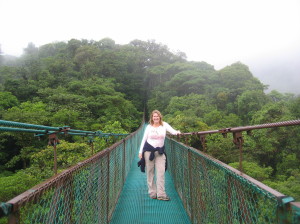 Exploring the cloud forest