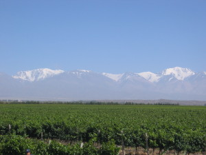 Mendoza Valley at the foot of the Andes Mountains