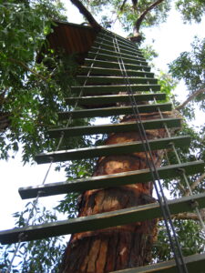 One of the tall ladders we had to climb up and when it was windy...it really moved!